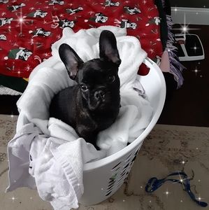 Meet your Posher, Shelly